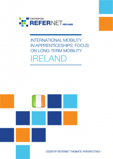 International mobility in apprenticeships: focus on long-term mobility: Ireland